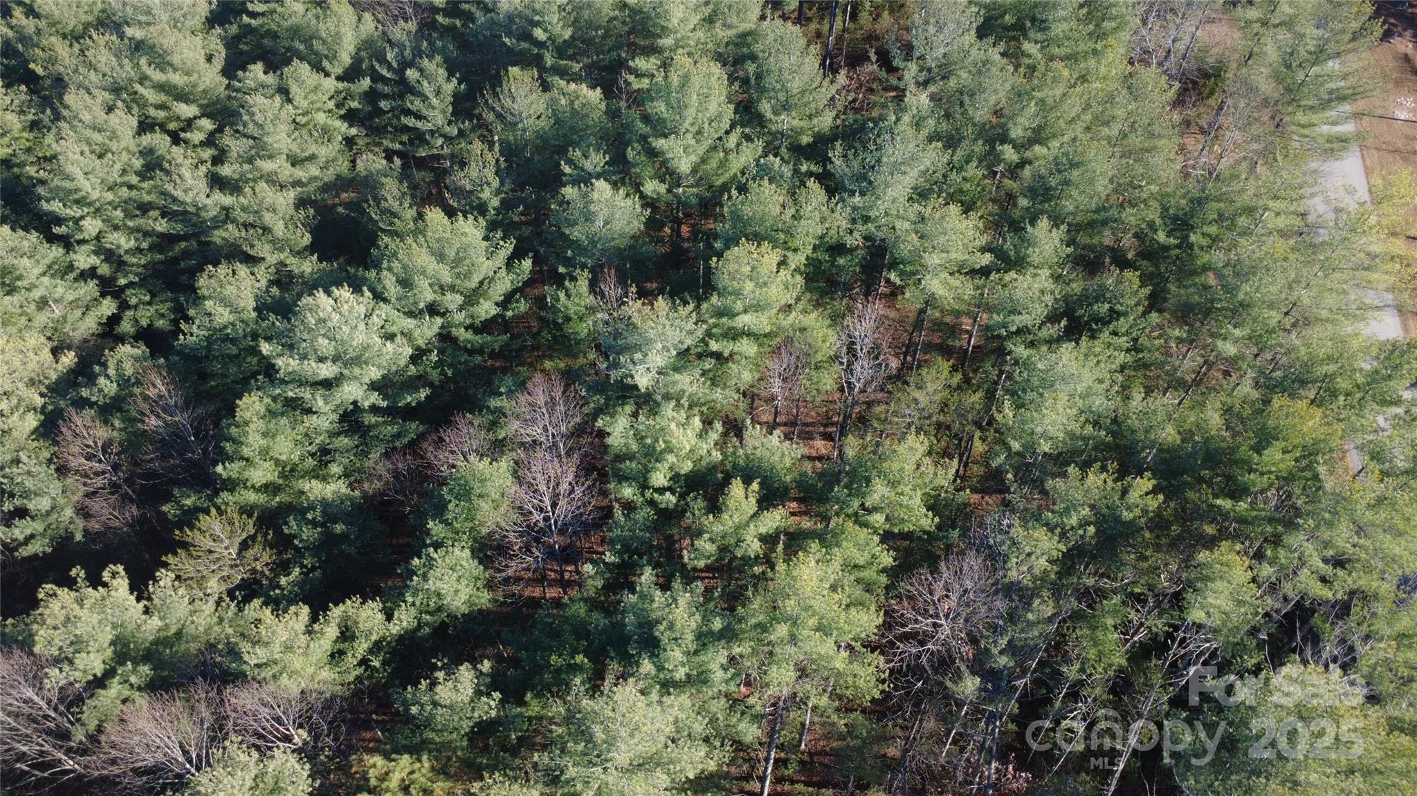 597 Peninsula Reserve Road Nebo NC 28761