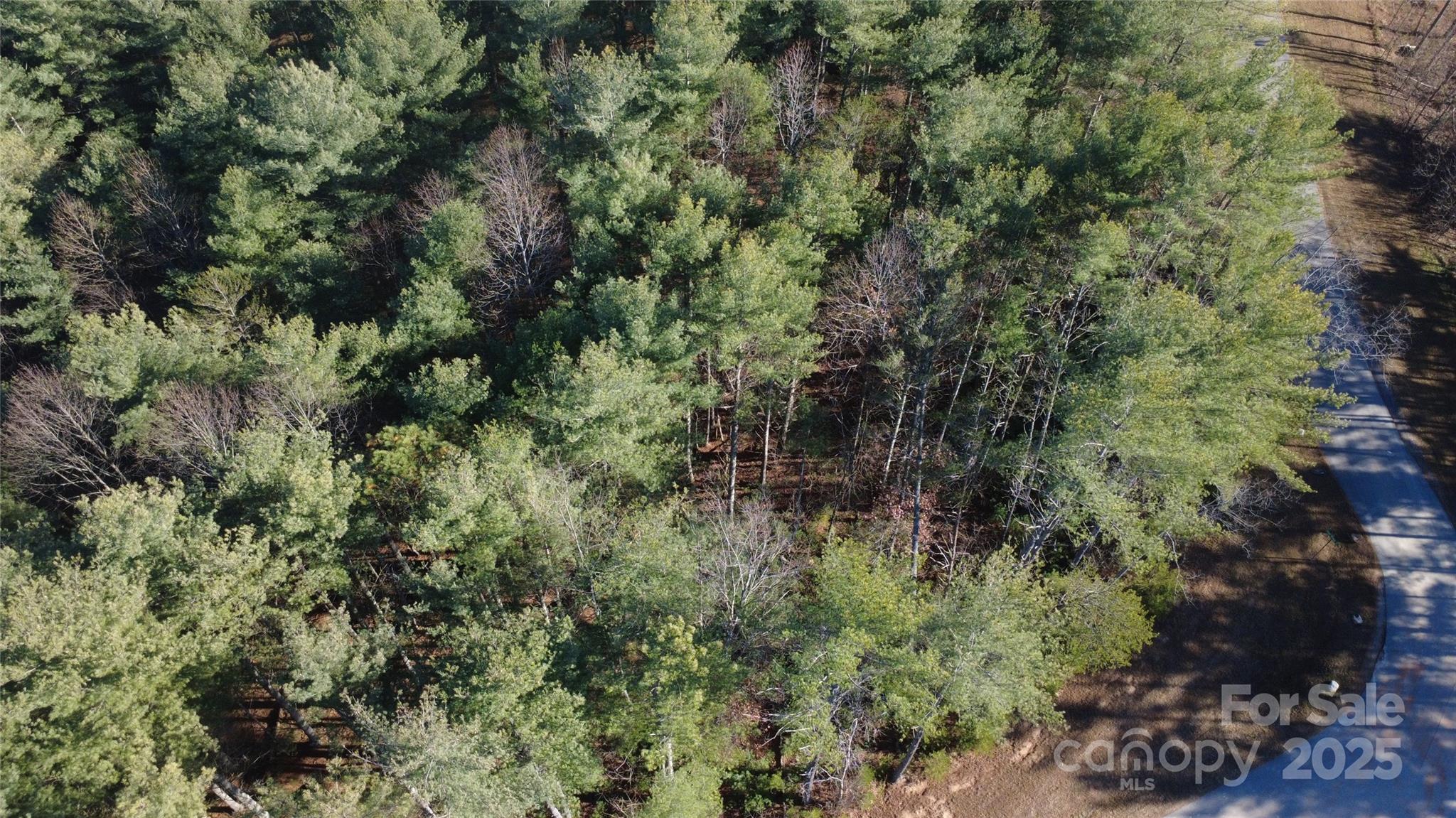 597 Peninsula Reserve Road Nebo NC 28761