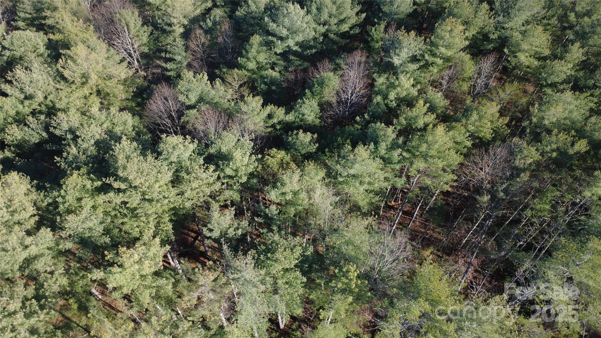 597 Peninsula Reserve Road Nebo NC 28761