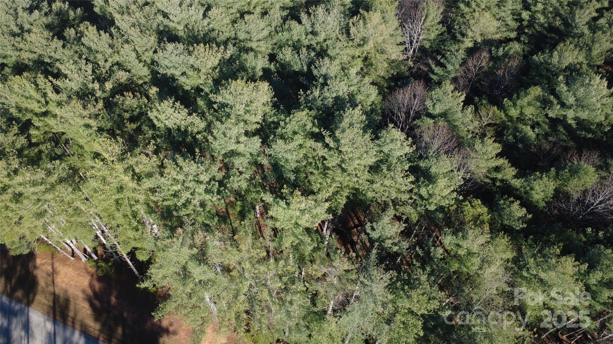 597 Peninsula Reserve Road Nebo NC 28761