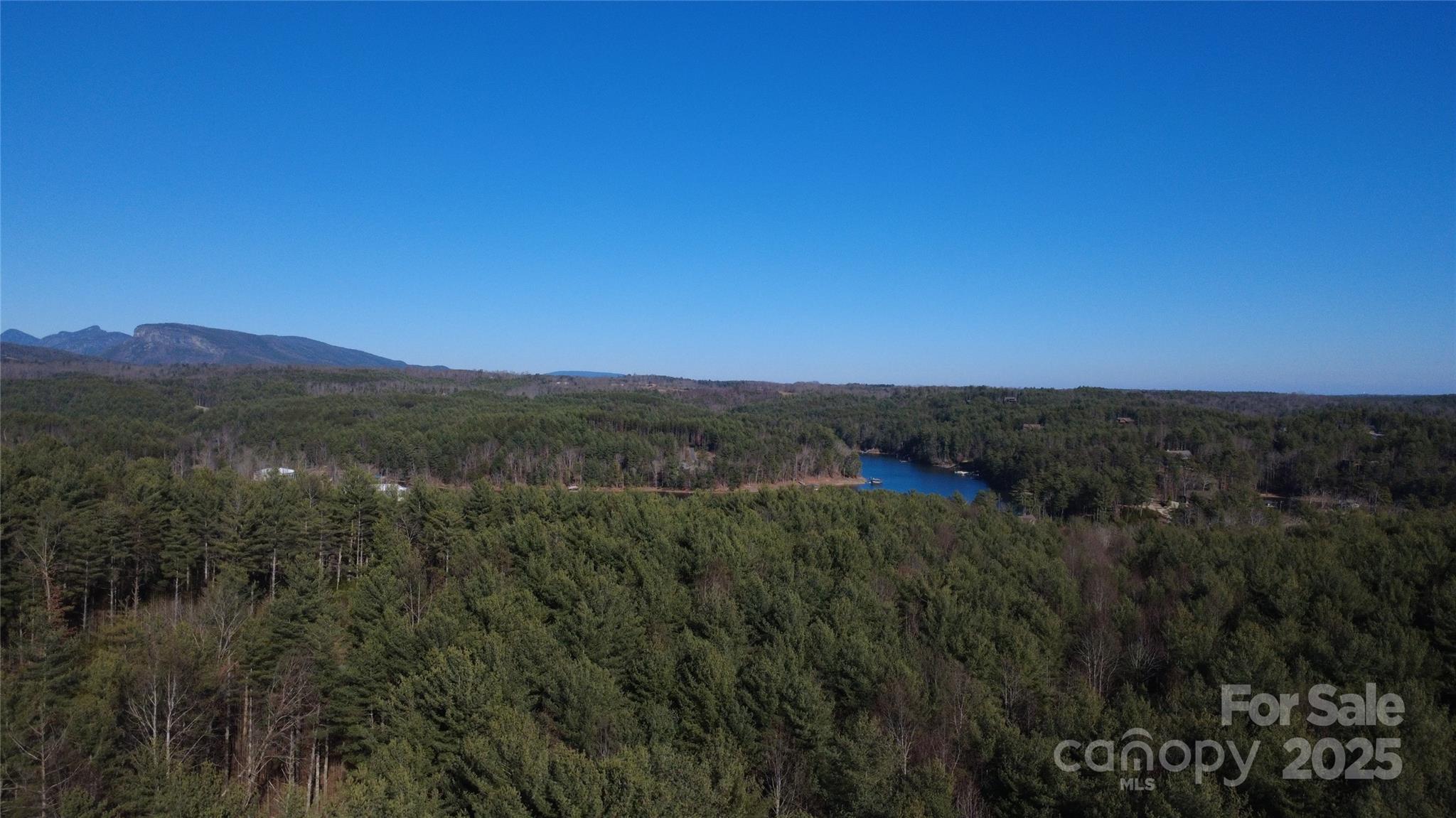 597 Peninsula Reserve Road Nebo NC 28761