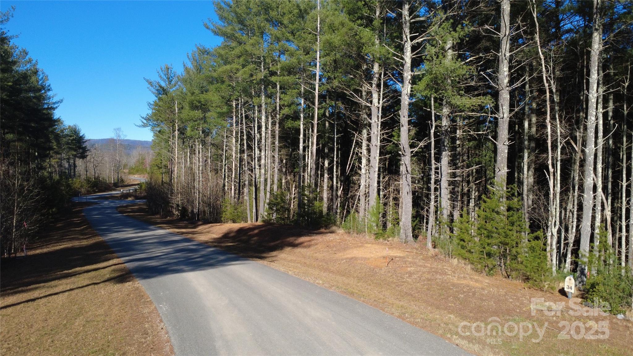 597 Peninsula Reserve Road Nebo NC 28761
