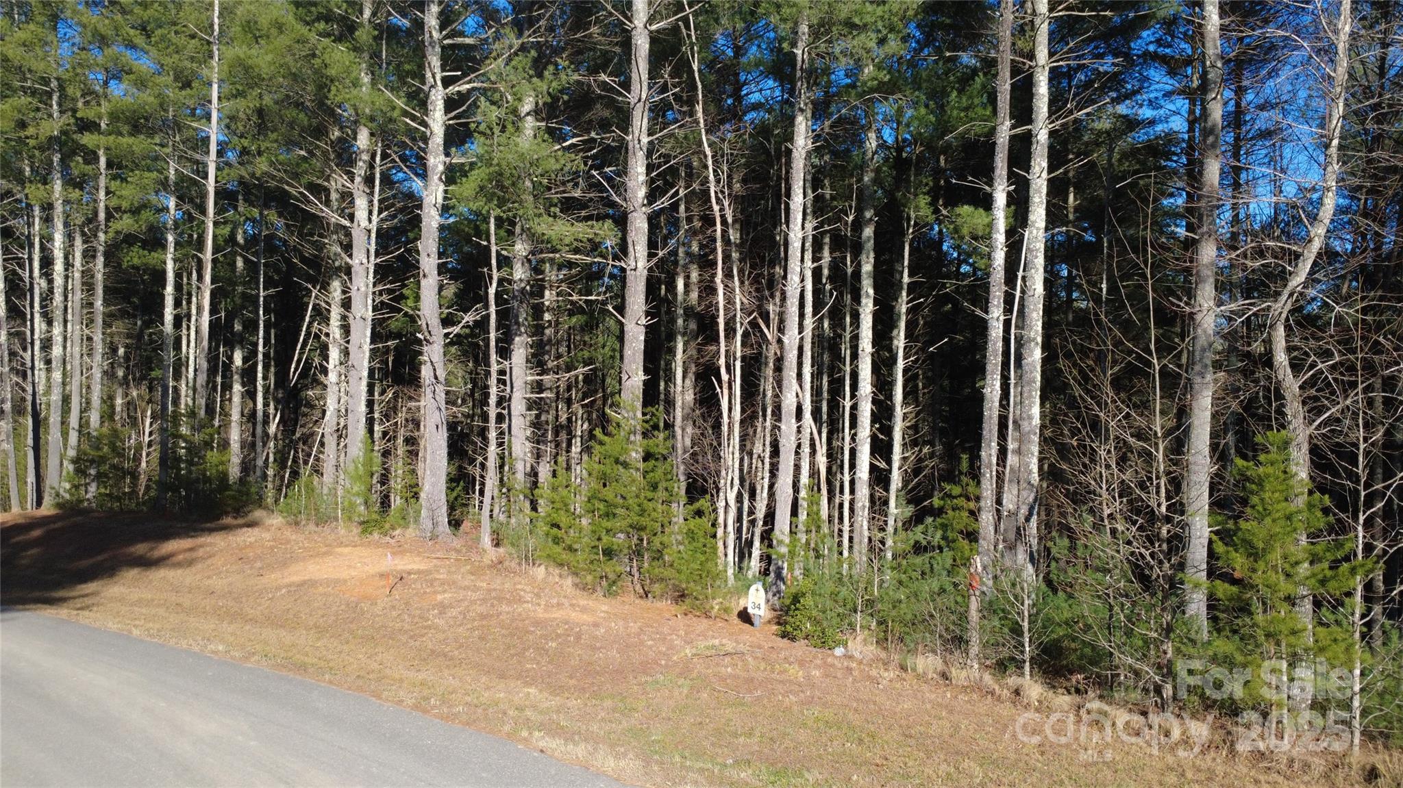 597 Peninsula Reserve Road Nebo NC 28761