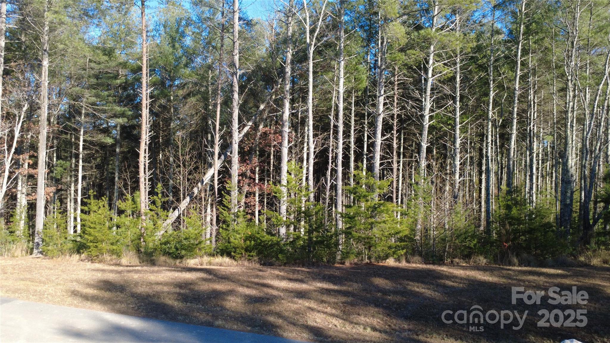 597 Peninsula Reserve Road Nebo NC 28761