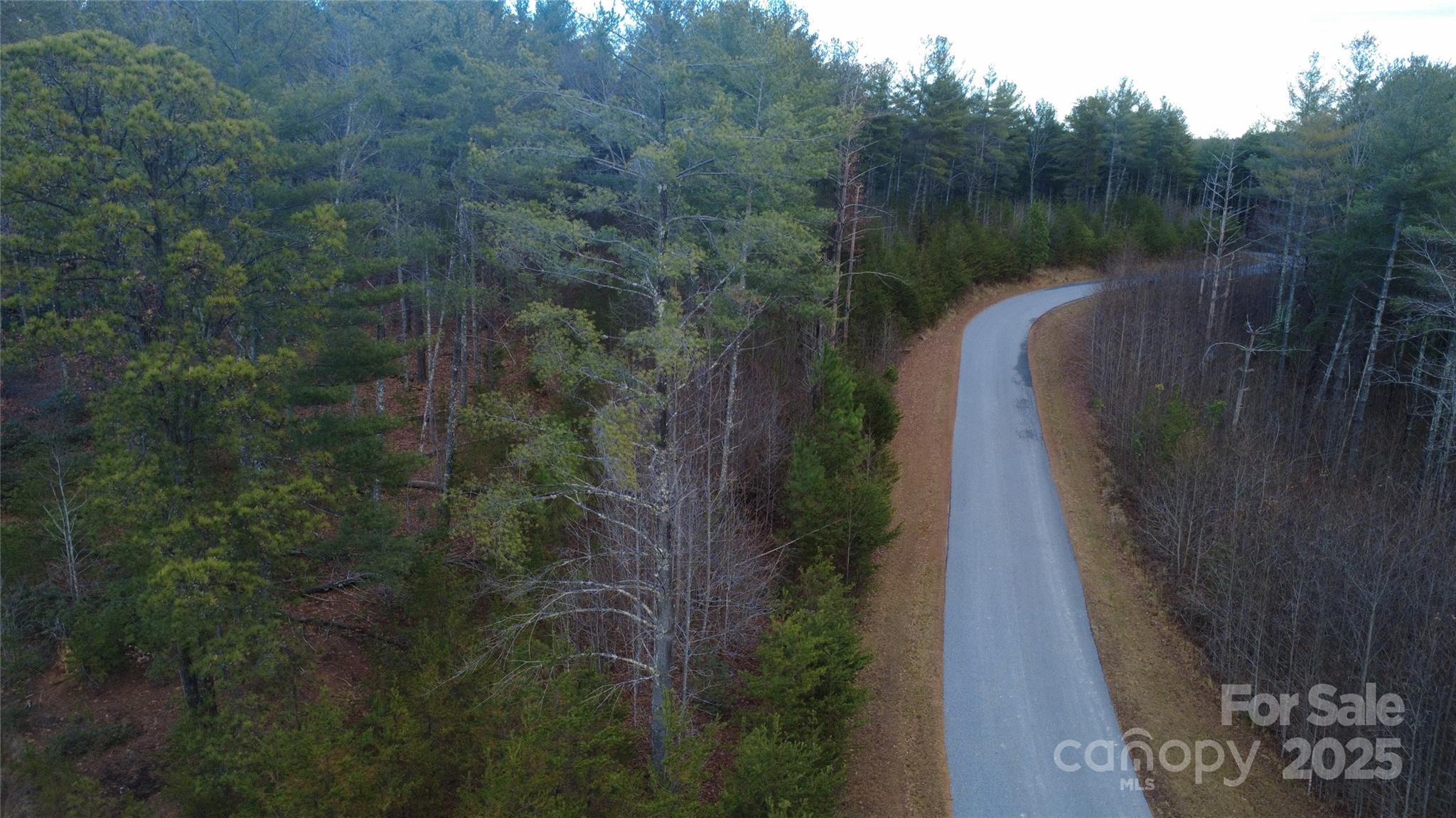 597 Peninsula Reserve Road Nebo NC 28761