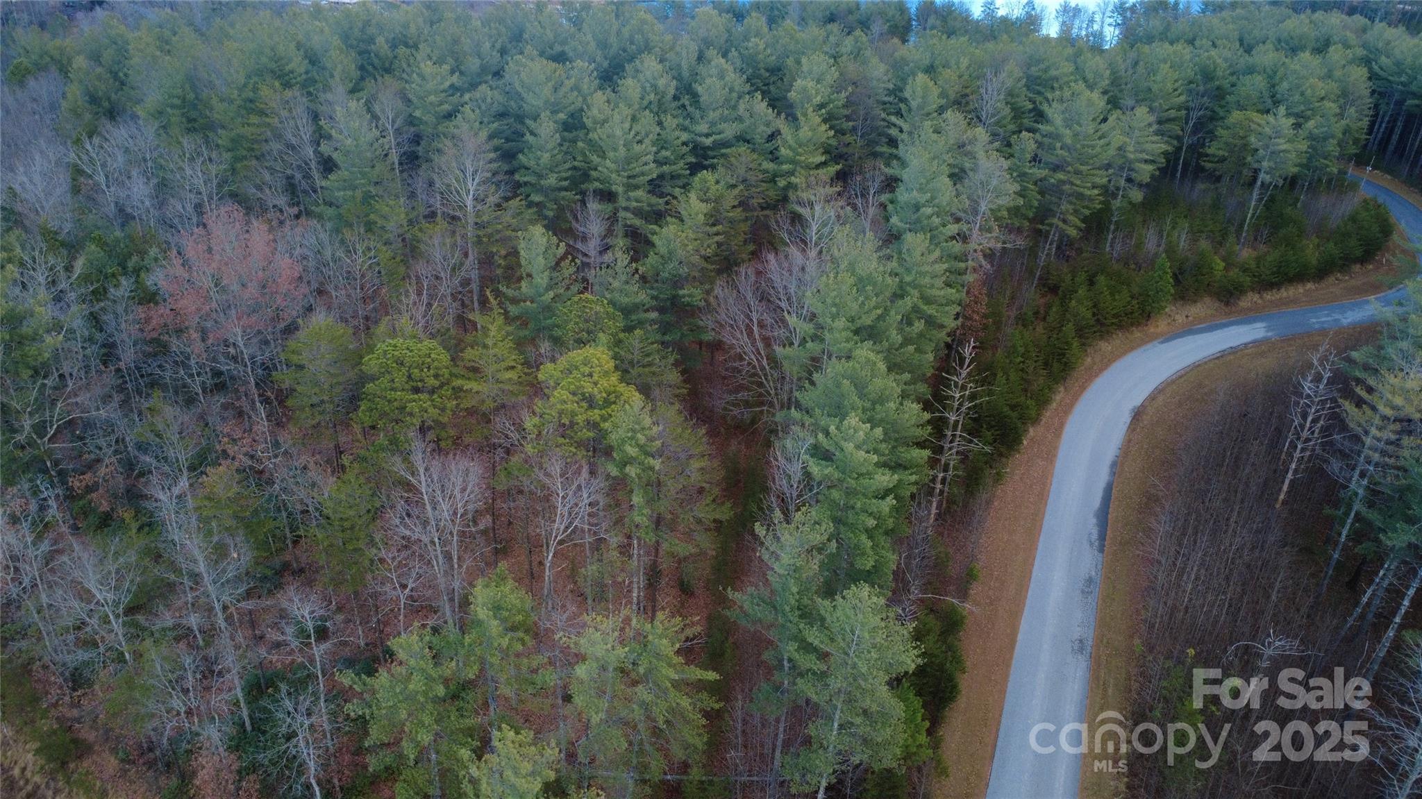 597 Peninsula Reserve Road Nebo NC 28761