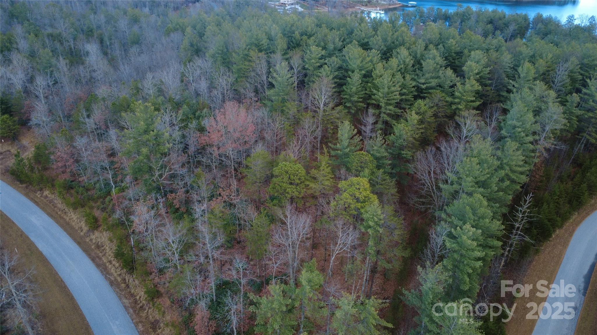 597 Peninsula Reserve Road Nebo NC 28761