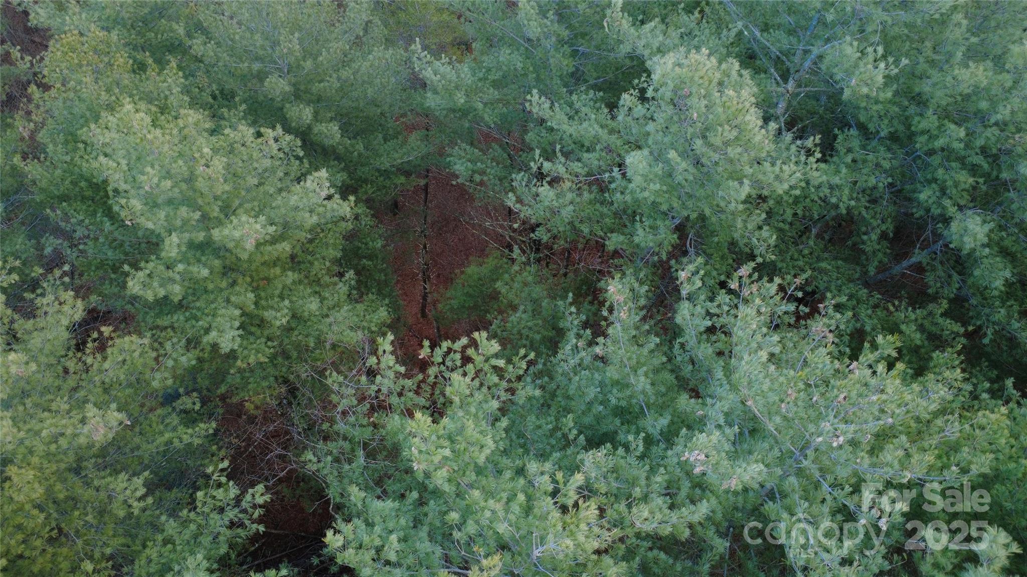 597 Peninsula Reserve Road Nebo NC 28761