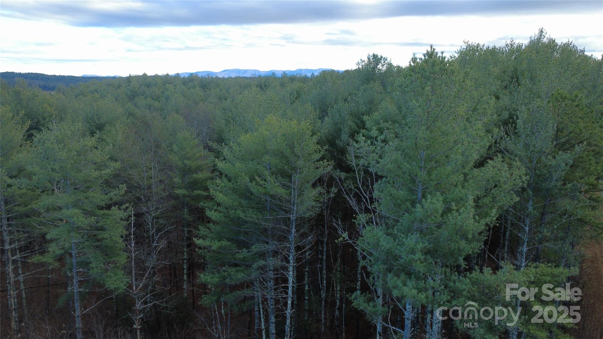 597 Peninsula Reserve Road Nebo NC 28761