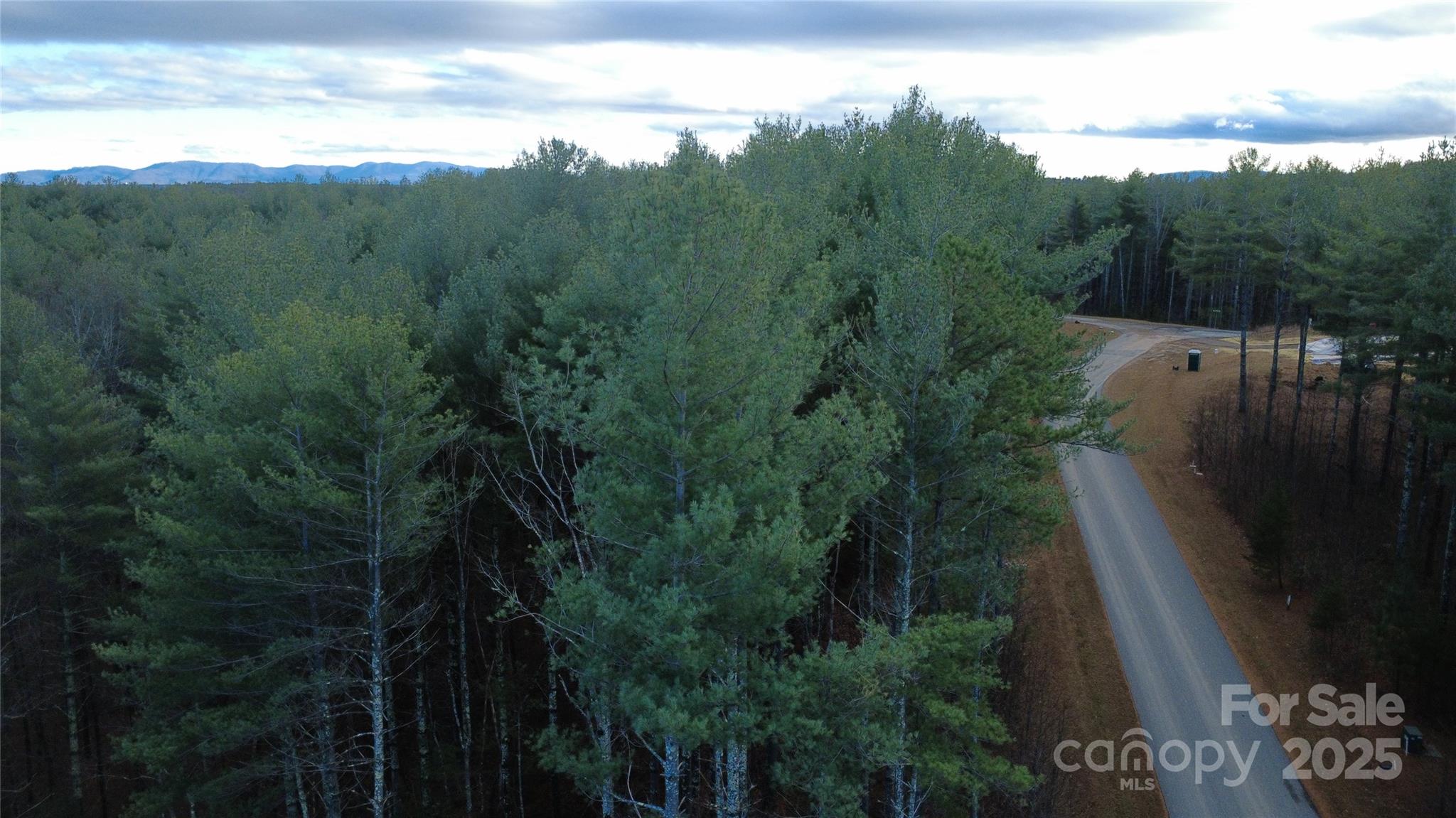 597 Peninsula Reserve Road Nebo NC 28761