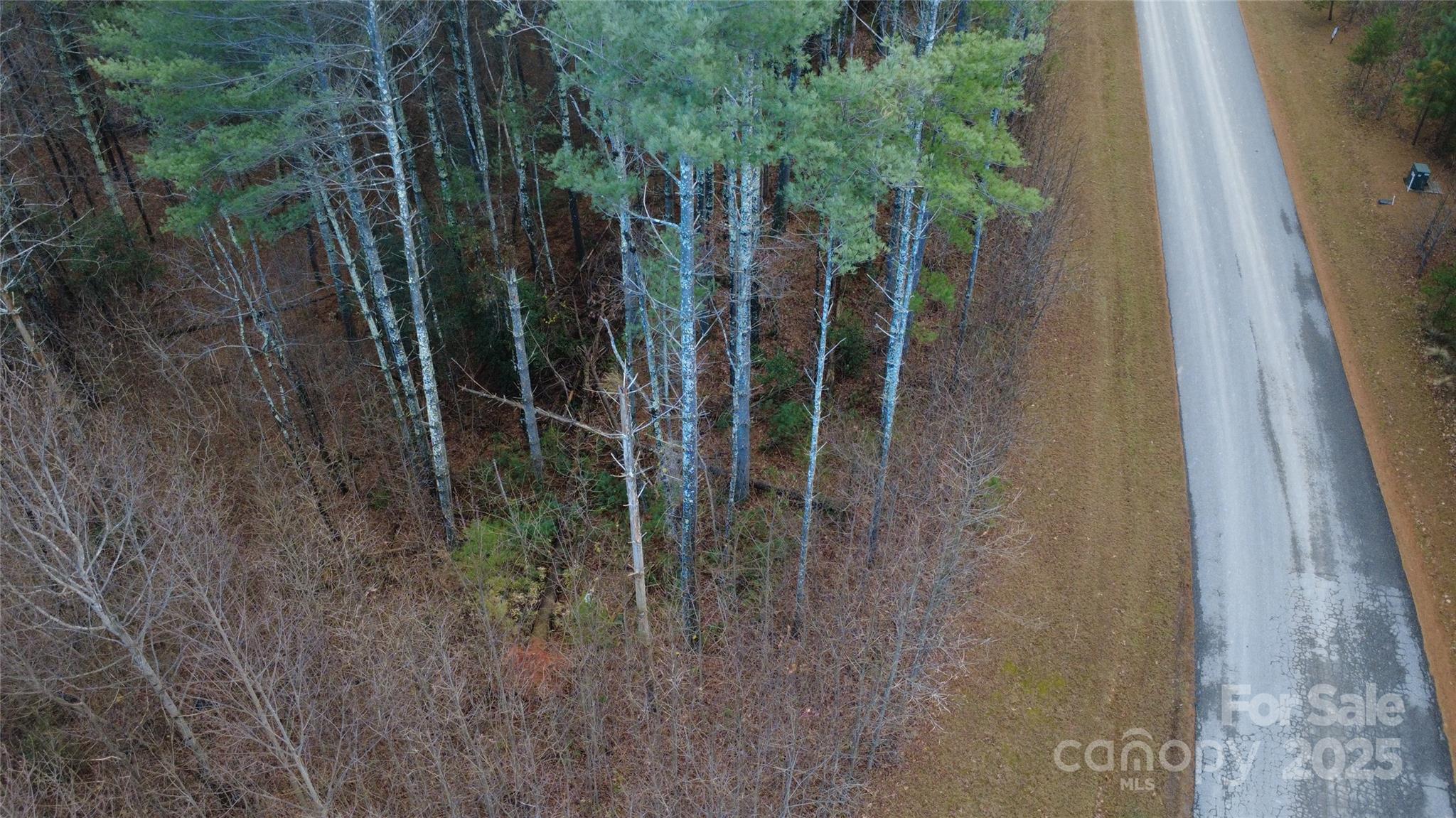 597 Peninsula Reserve Road Nebo NC 28761