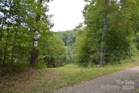 9999 Still Spring Road Black Mountain NC 28711