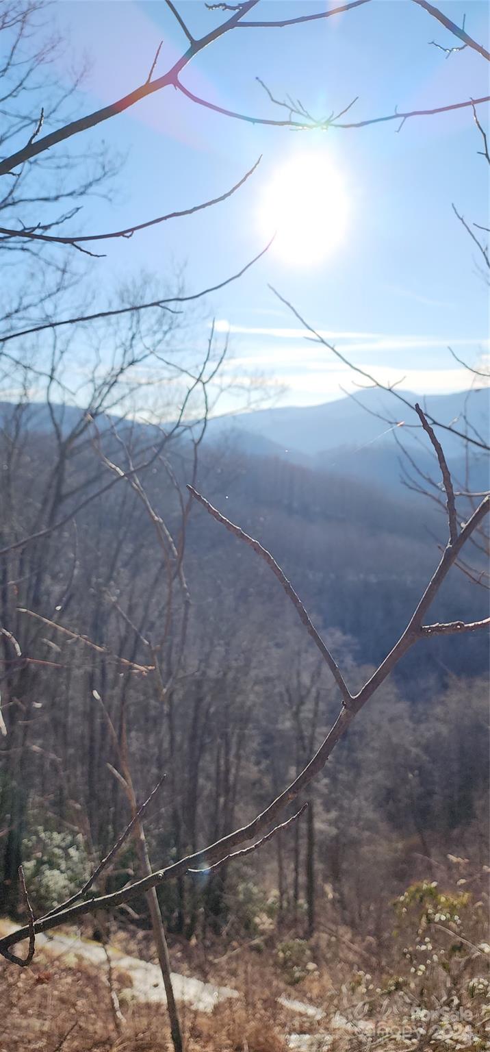 9999 Still Spring Road Black Mountain NC 28711