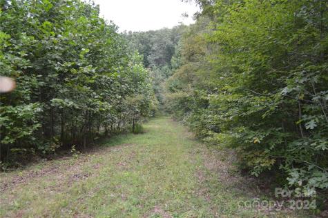 9999 Still Spring Road Black Mountain NC 28711