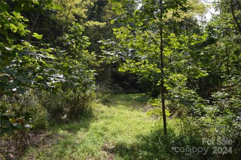 9999 Still Spring Road Black Mountain NC 28711