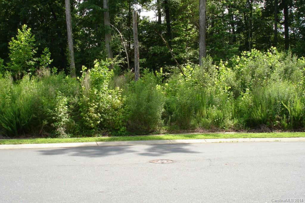 1019 Dacavin Drive Charlotte NC 28226
