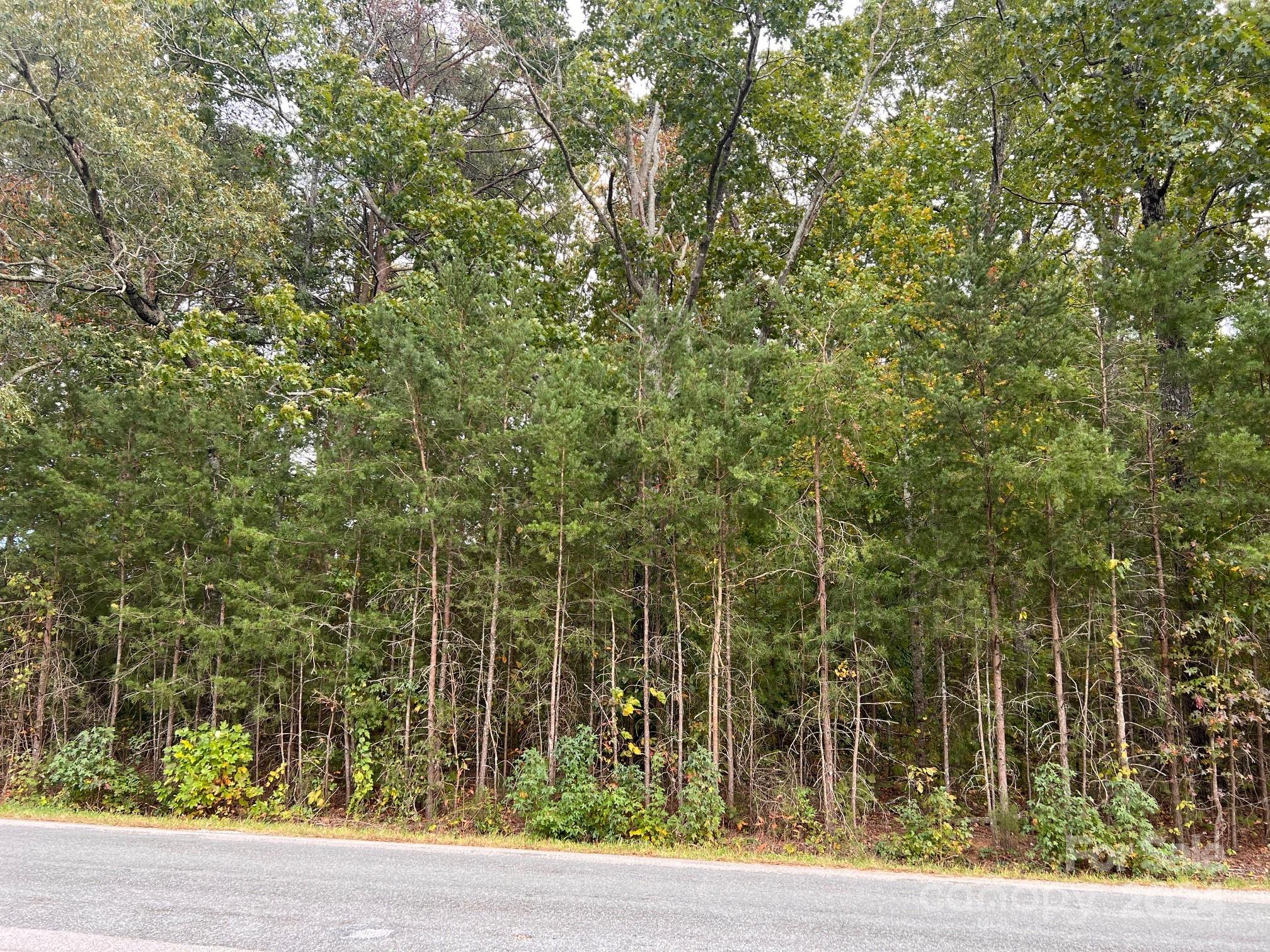 0 Cornelius Road Rockwell NC 28138