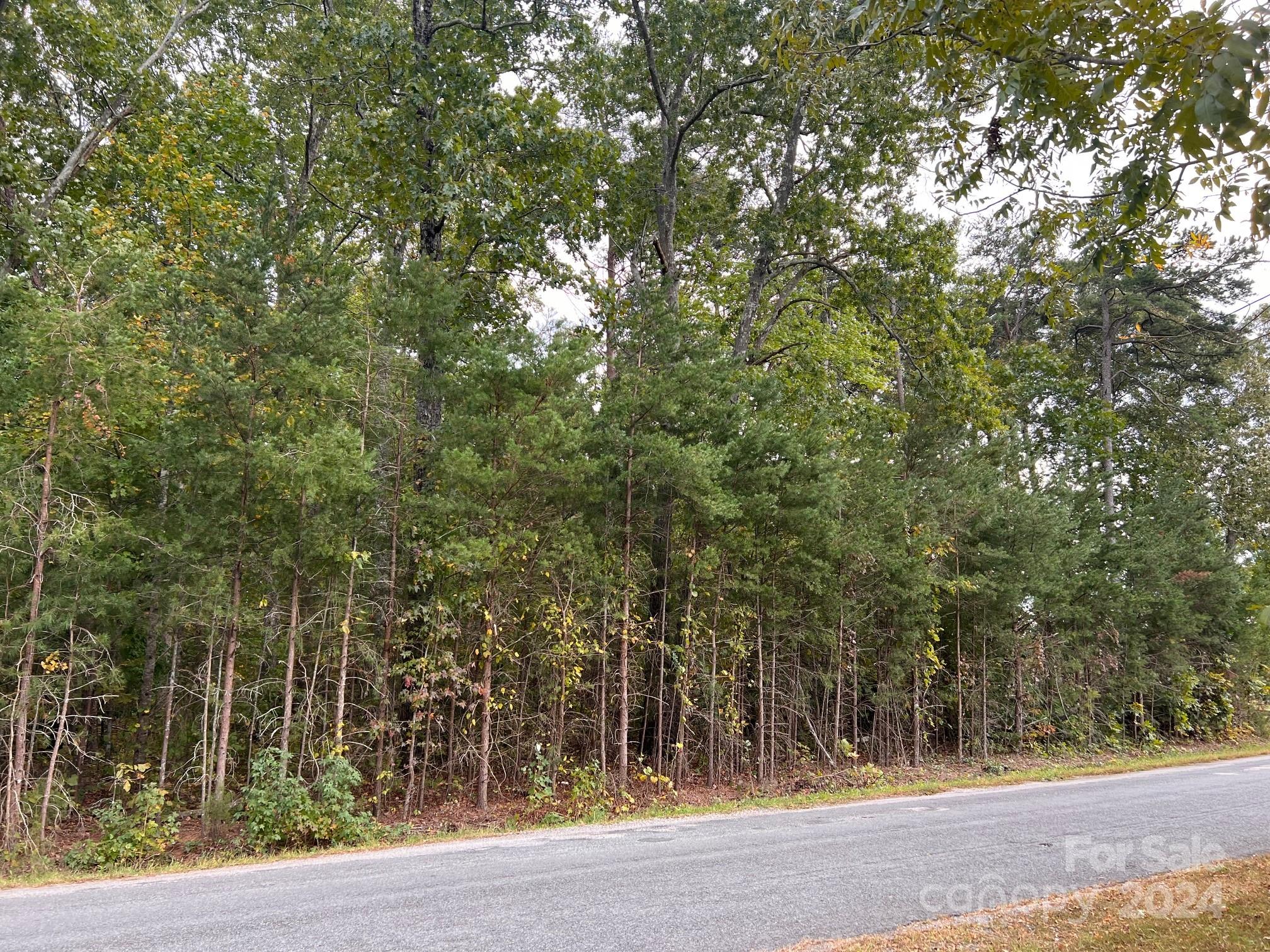 0 Cornelius Road Rockwell NC 28138