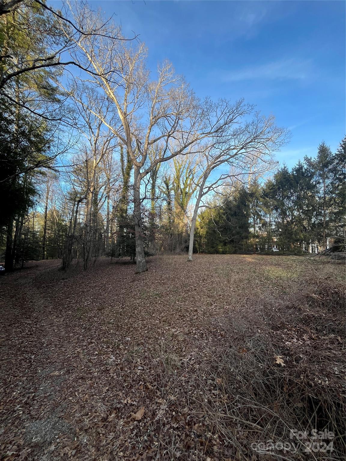 33 Busbee Road Asheville NC 28803