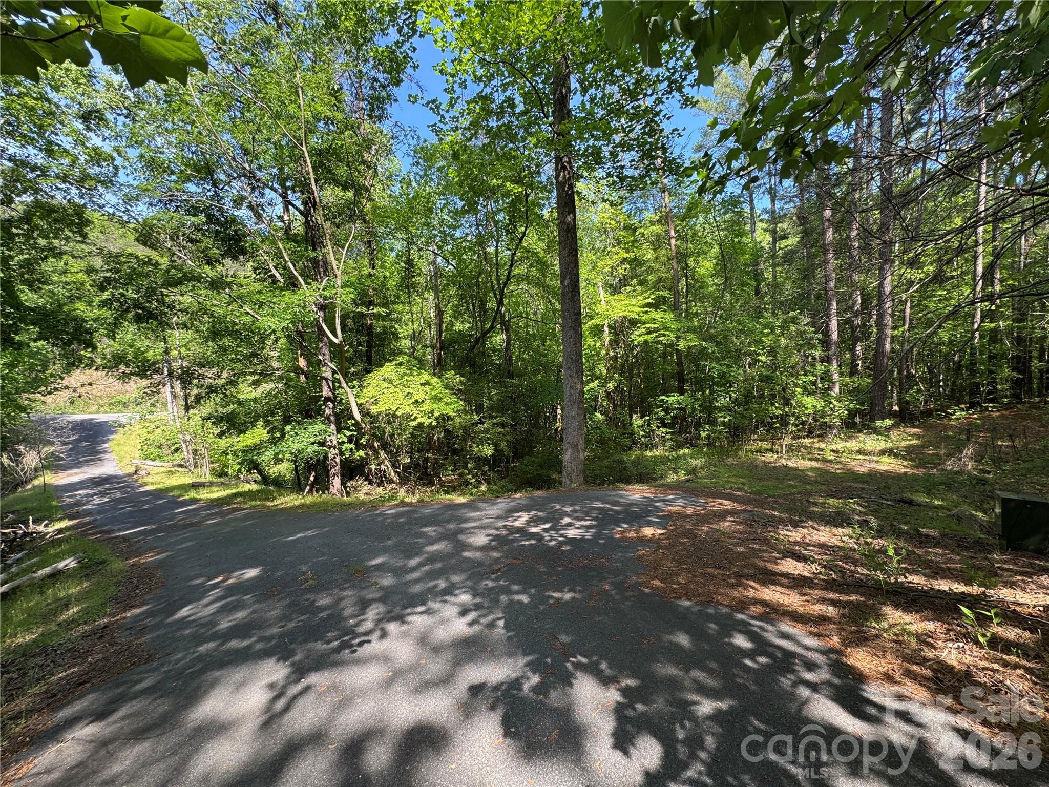 0 Island Creek Road Lake Lure NC 28746