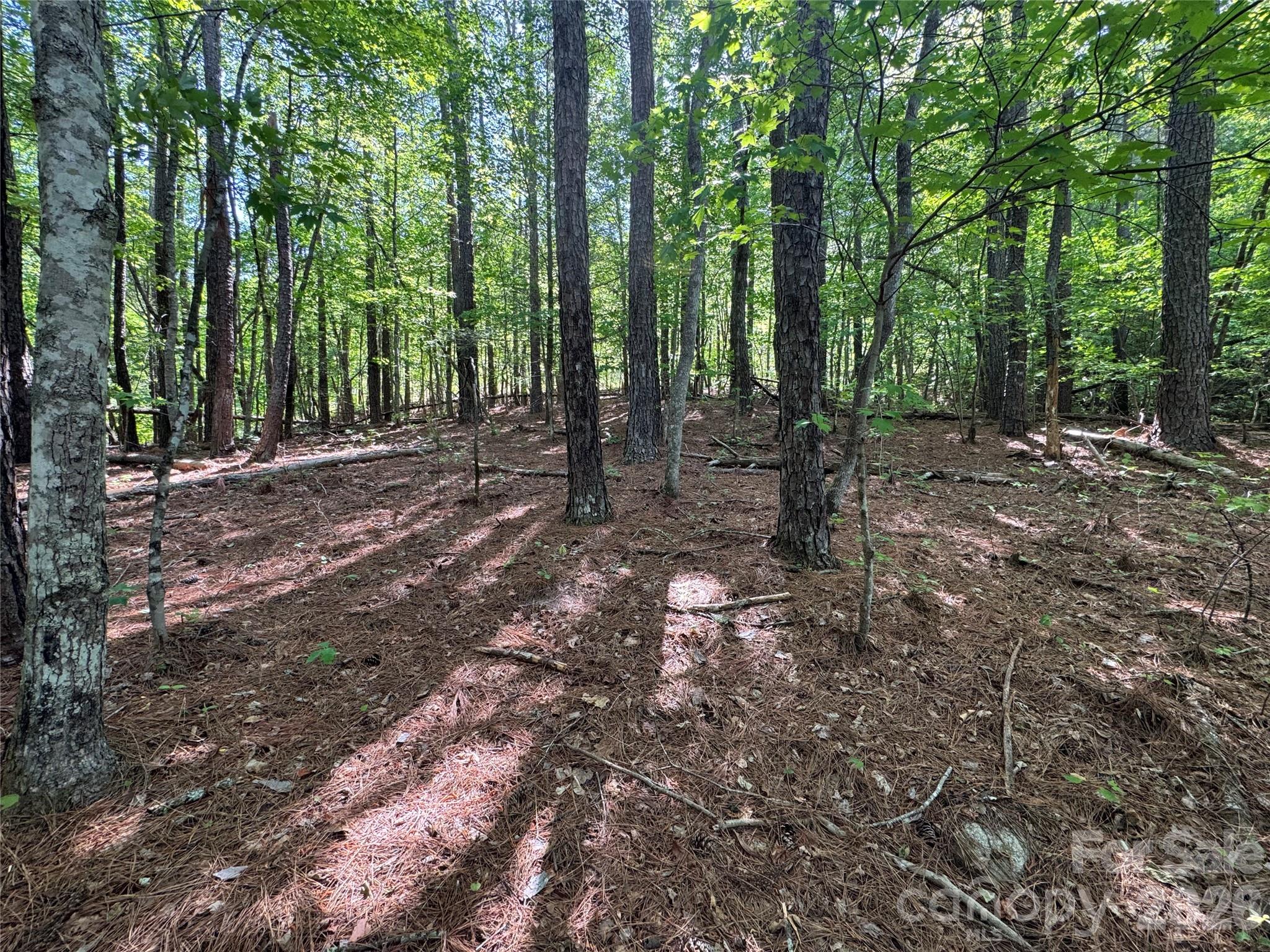 0 Island Creek Road Lake Lure NC 28746
