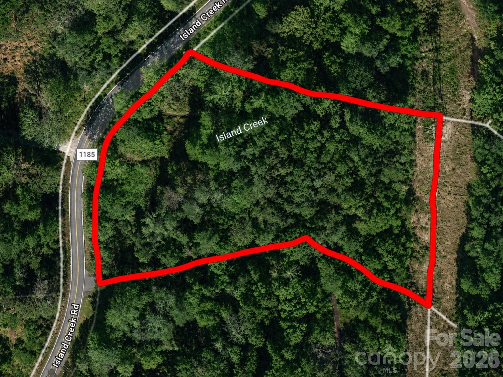 0 Island Creek Road Lake Lure NC 28746