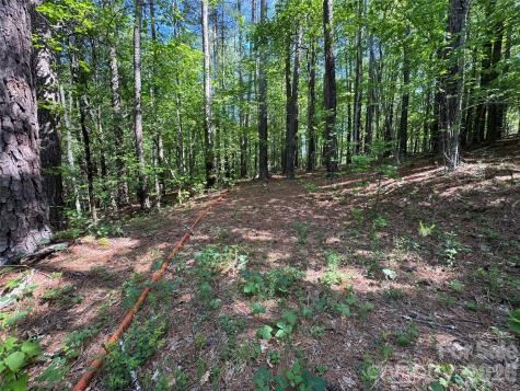 0 Island Creek Road Lake Lure NC 28746