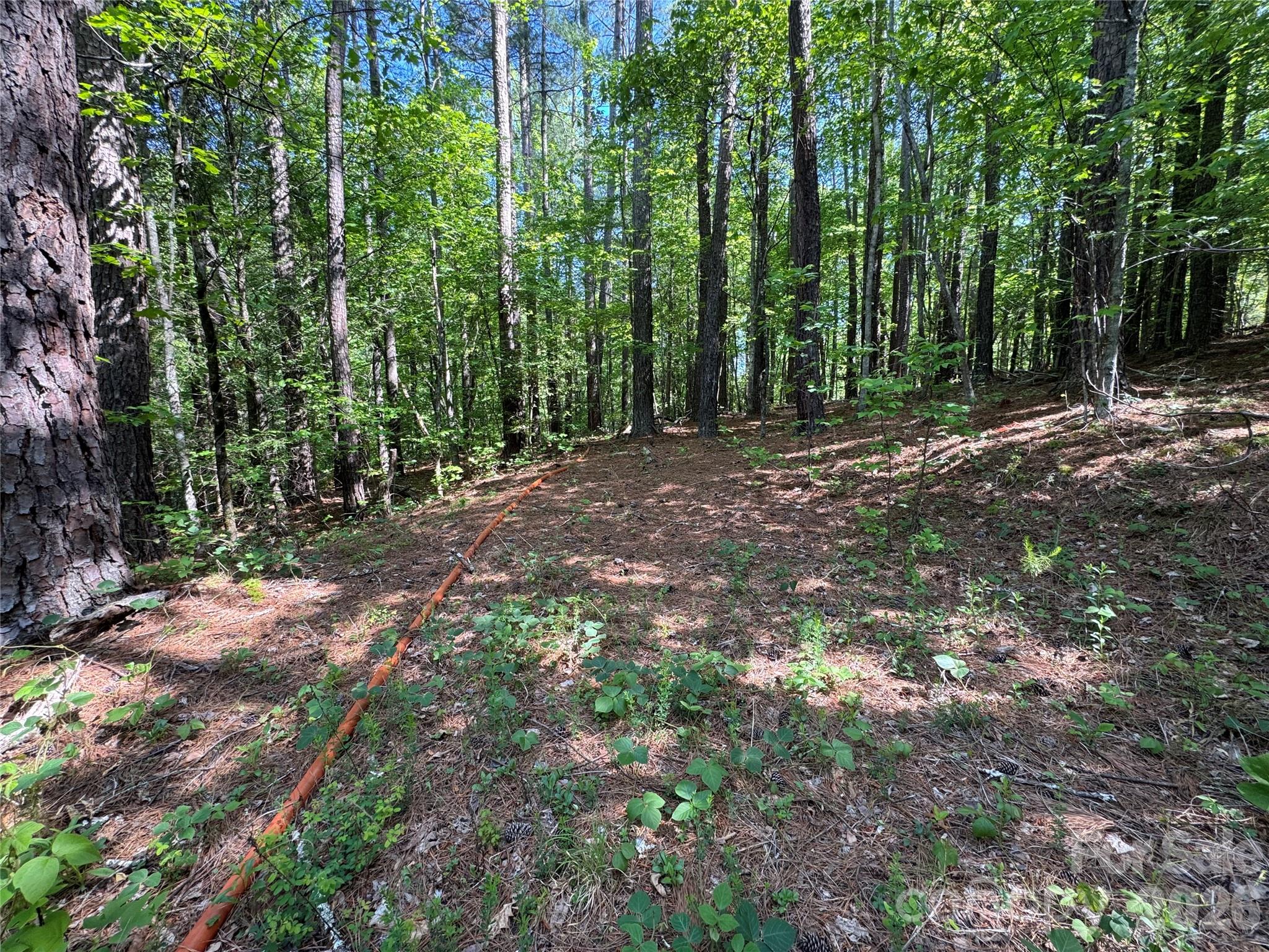 0 Island Creek Road Lake Lure NC 28746