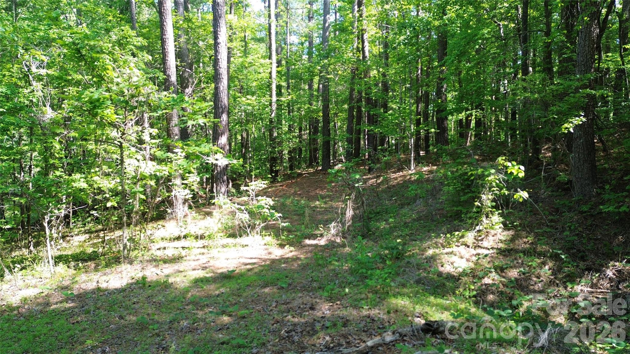 0 Island Creek Road Lake Lure NC 28746