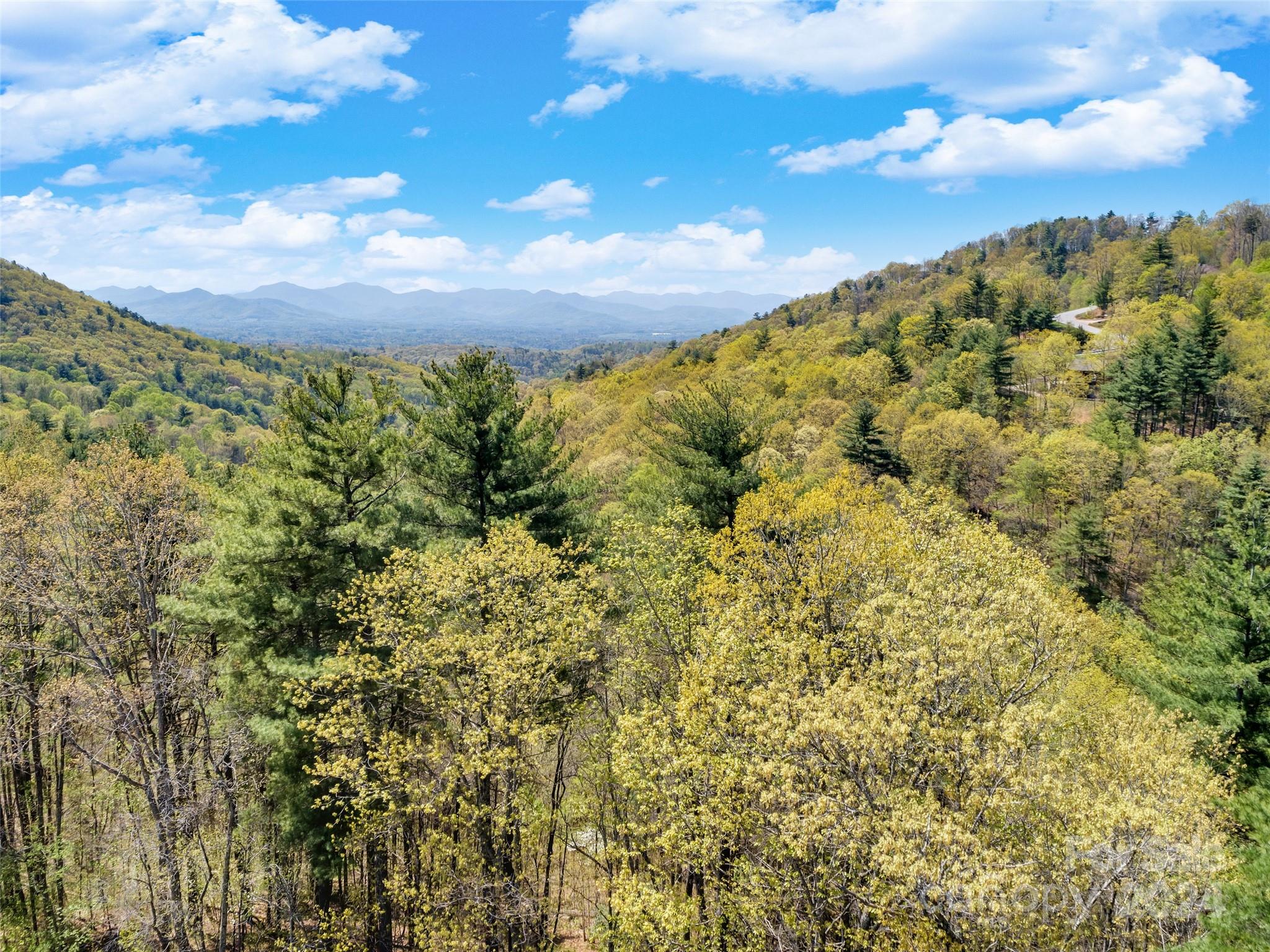 21 Villa Nova Drive Asheville NC 28804