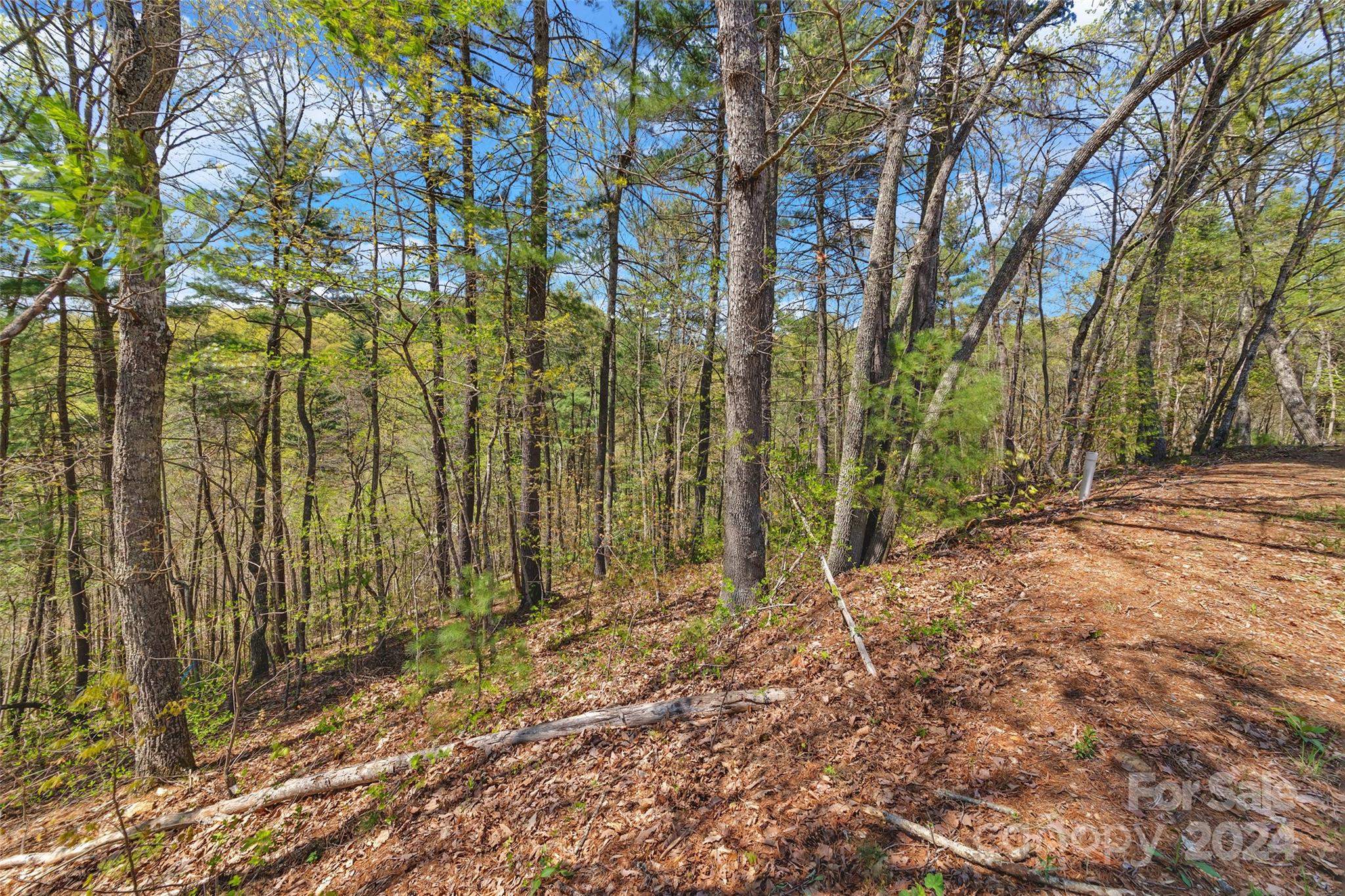 21 Villa Nova Drive Asheville NC 28804