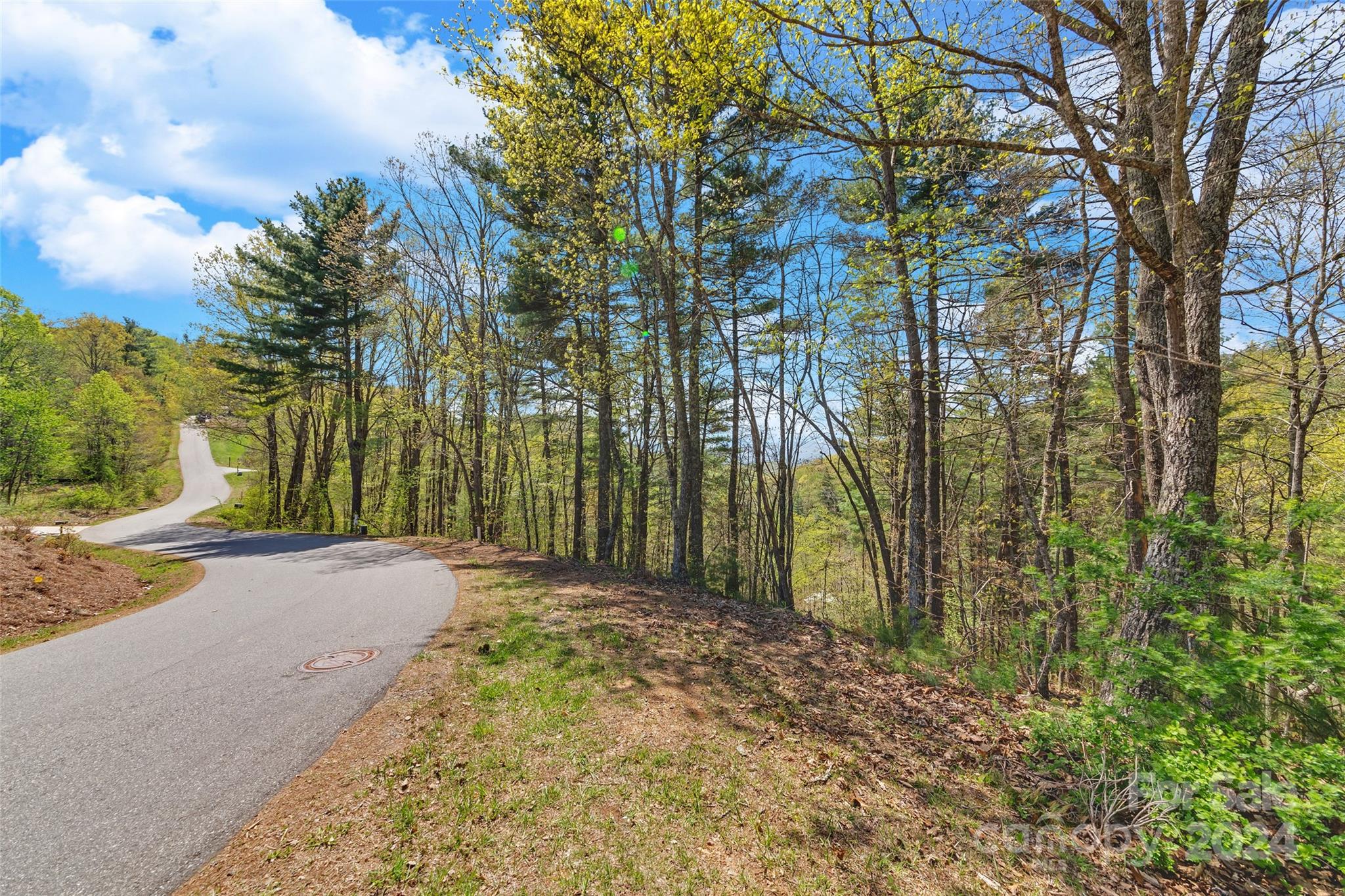21 Villa Nova Drive Asheville NC 28804