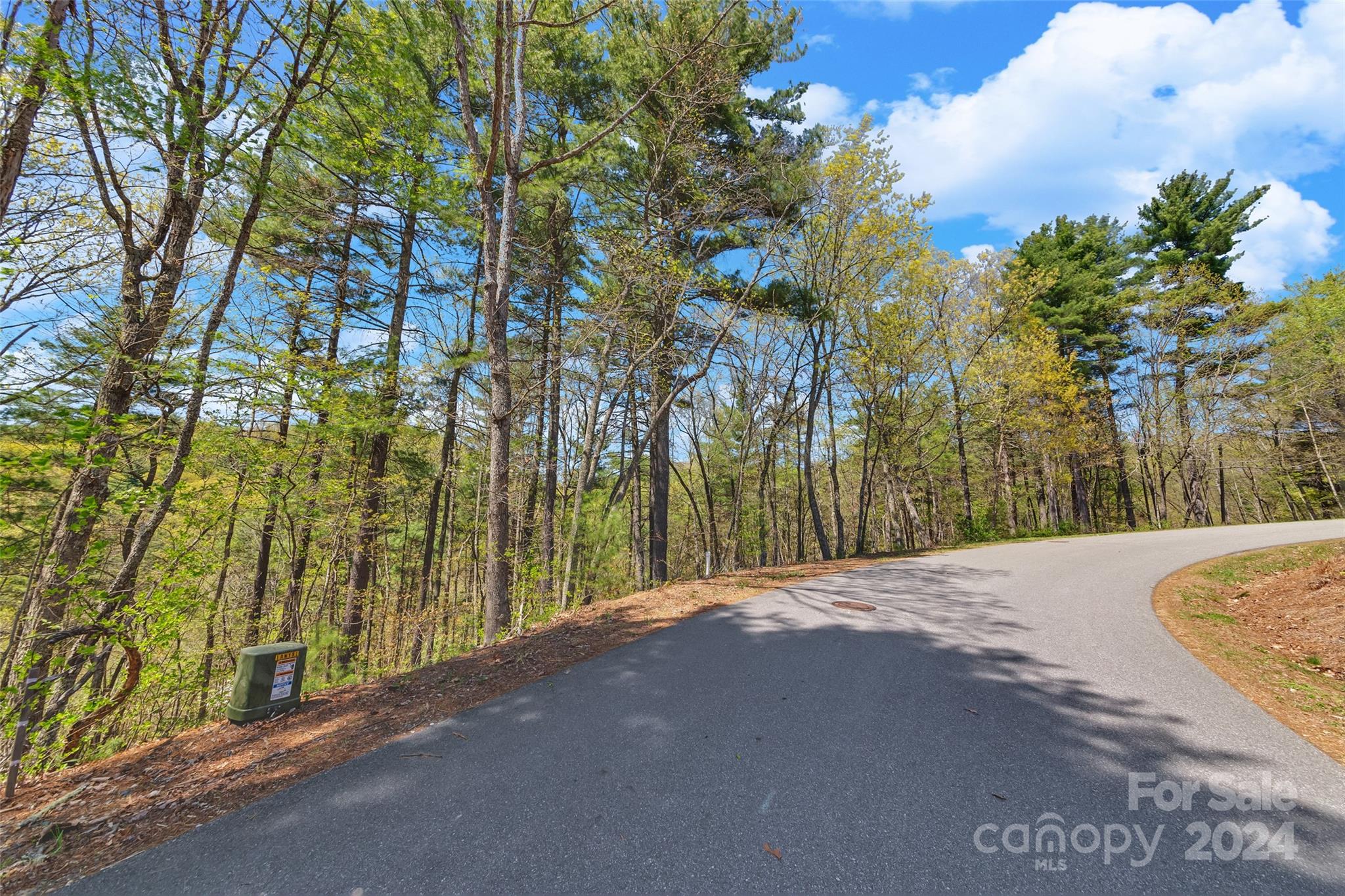21 Villa Nova Drive Asheville NC 28804