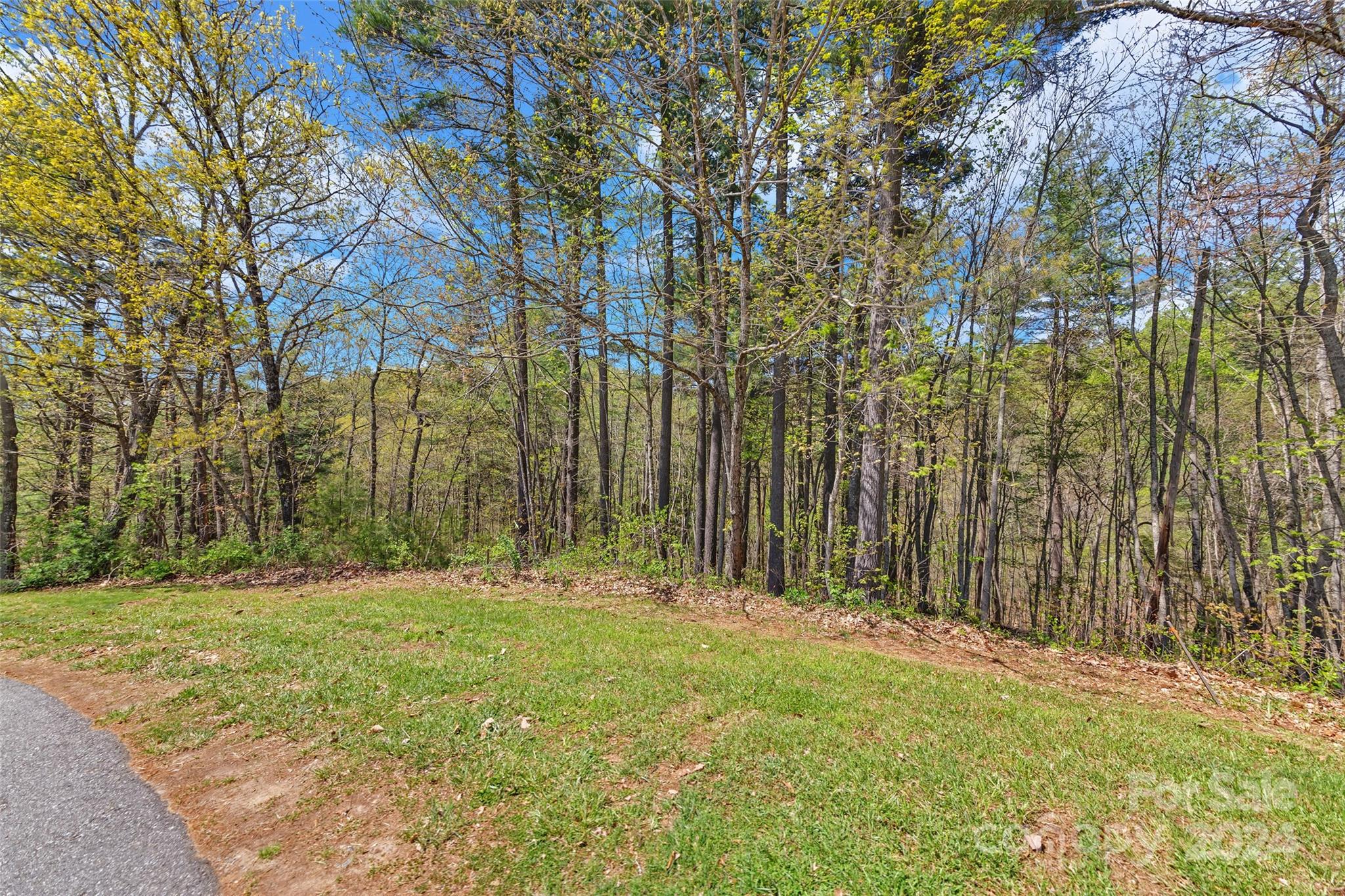 21 Villa Nova Drive Asheville NC 28804