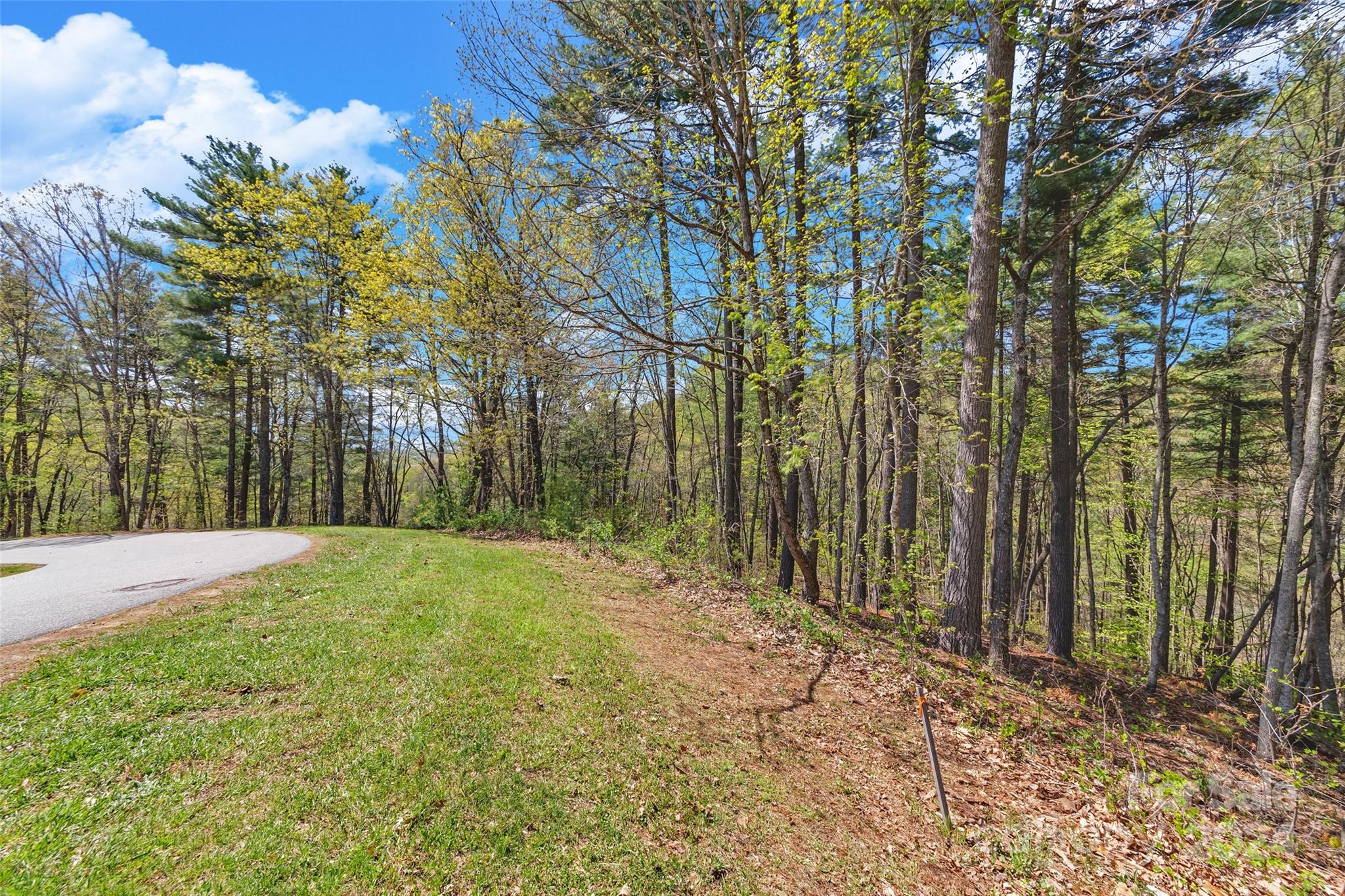 21 Villa Nova Drive Asheville NC 28804