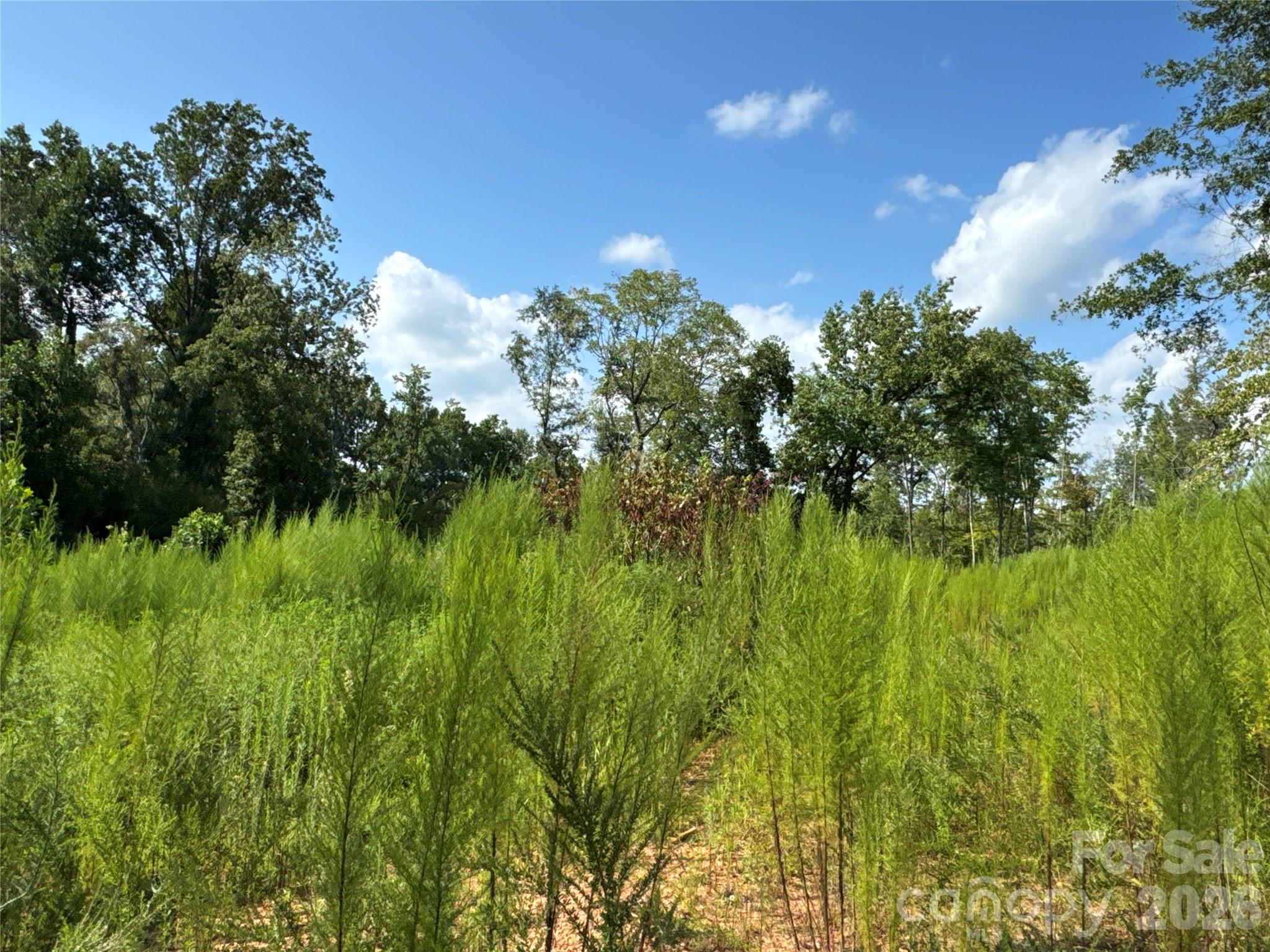 134 W Mcbrayer Lane Mooresboro NC 28114