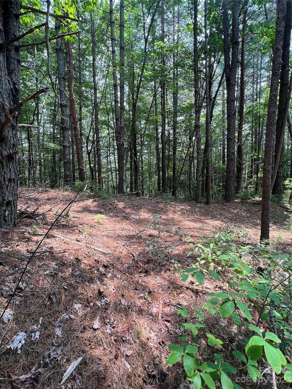 9589 Shortoff View Terrace Nebo NC 28761