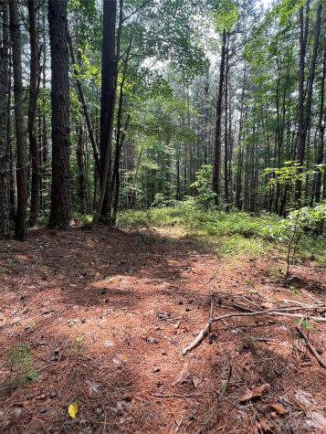 9589 Shortoff View Terrace Nebo NC 28761