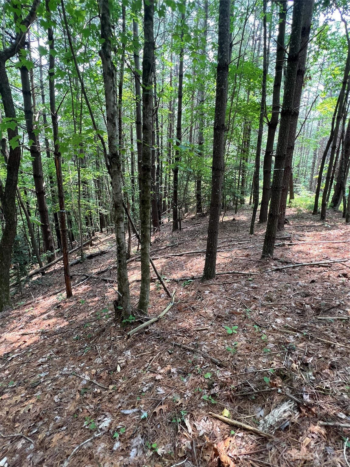 9589 Shortoff View Terrace Nebo NC 28761