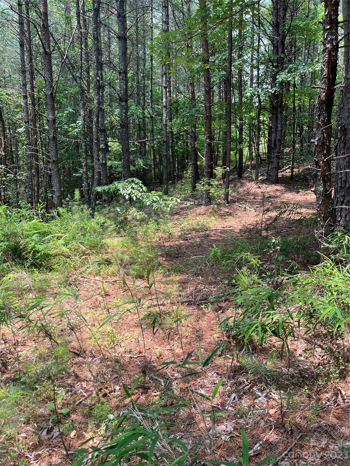 9589 Shortoff View Terrace Nebo NC 28761