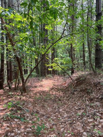 9589 Shortoff View Terrace Nebo NC 28761