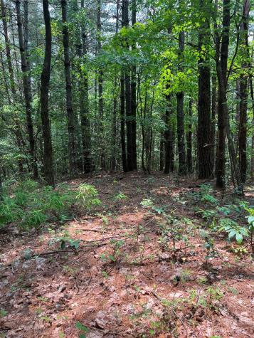 9589 Shortoff View Terrace Nebo NC 28761
