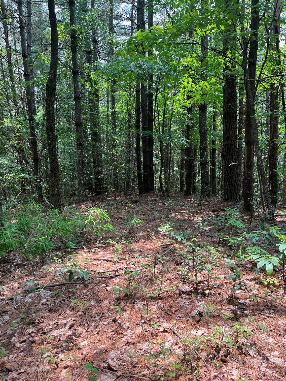 9589 Shortoff View Terrace Nebo NC 28761