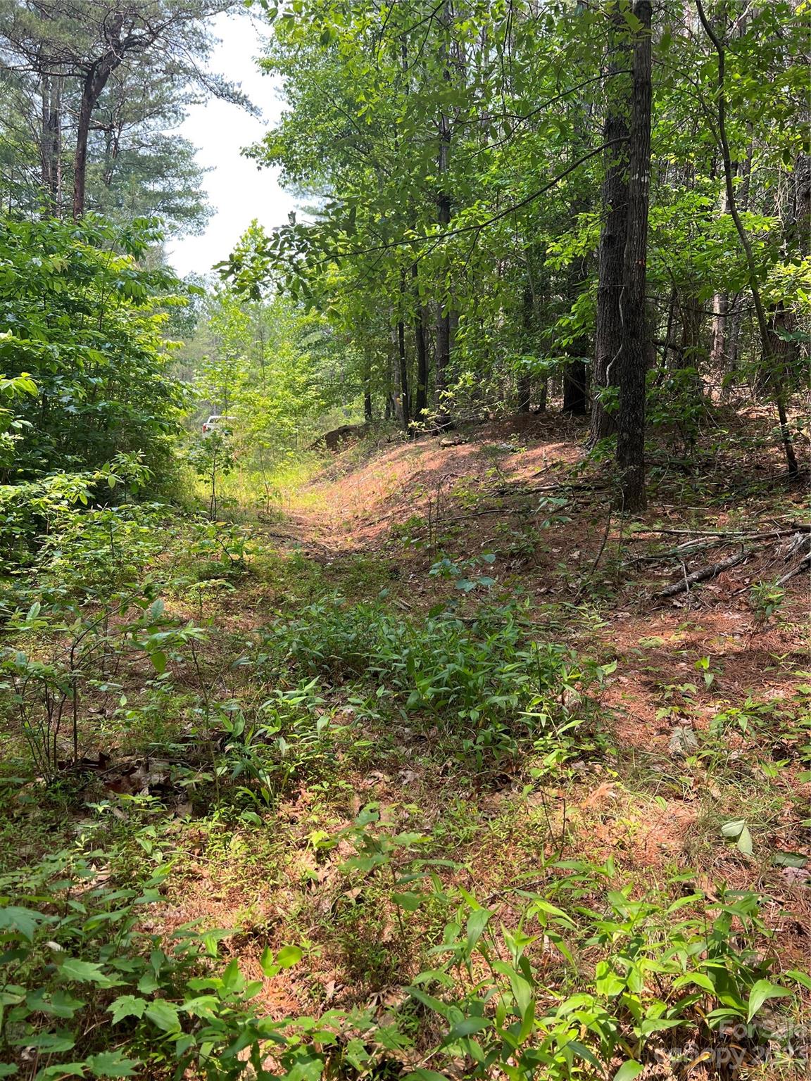 9589 Shortoff View Terrace Nebo NC 28761