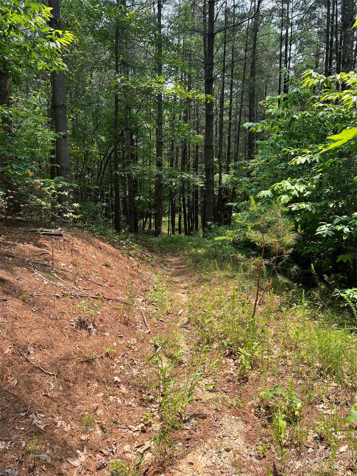 9589 Shortoff View Terrace Nebo NC 28761