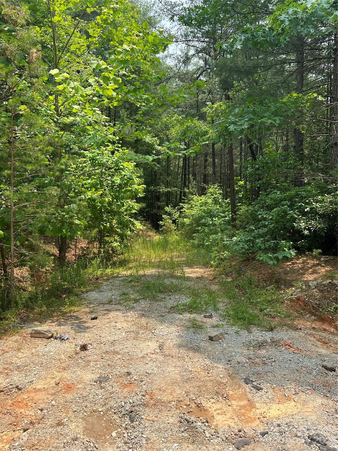 9589 Shortoff View Terrace Nebo NC 28761