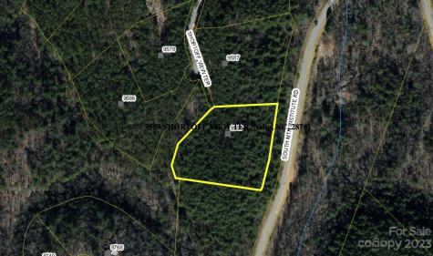 9589 Shortoff View Terrace Nebo NC 28761