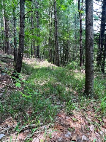 9589 Shortoff View Terrace Nebo NC 28761