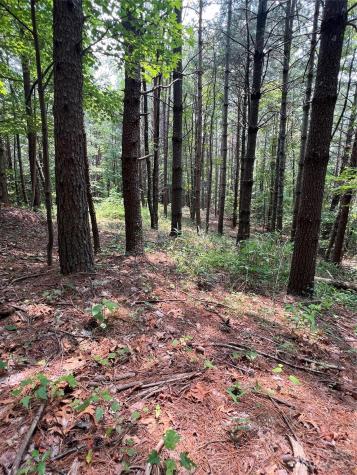 9589 Shortoff View Terrace Nebo NC 28761