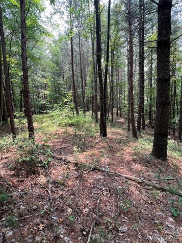 9589 Shortoff View Terrace Nebo NC 28761